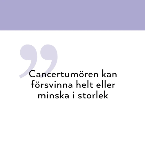 Block-1096x1100_Ismail_citat_SE.jpg