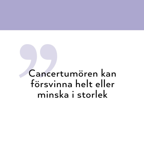 Block-1096x1100_Ismail_citat_SE.jpg