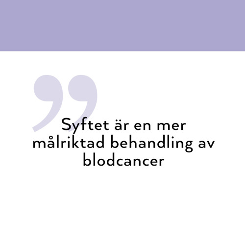 Block-1096x1100_Soren_citat_SE.jpg