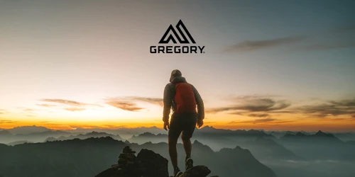 Mand med Gregory backpack i bjerglandskab. Stort udvalg af Gregory tasker og rygsække på neye.dk