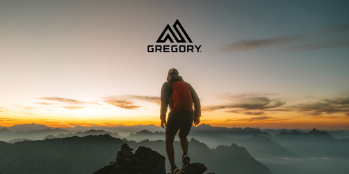 Mand med Gregory backpack i bjerglandskab. Stort udvalg af Gregory tasker og rygsække på neye.dk